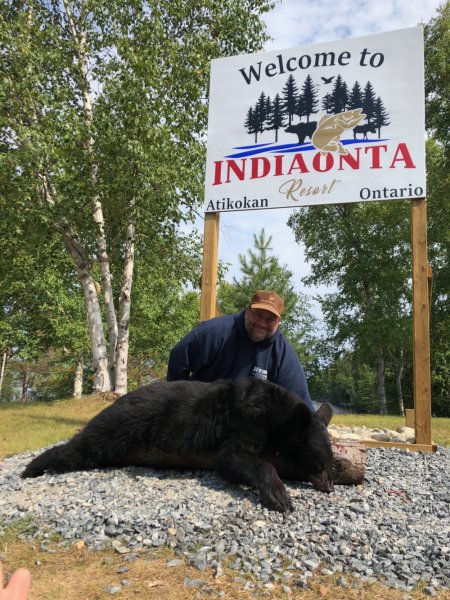 Bear hunting IMG 0739