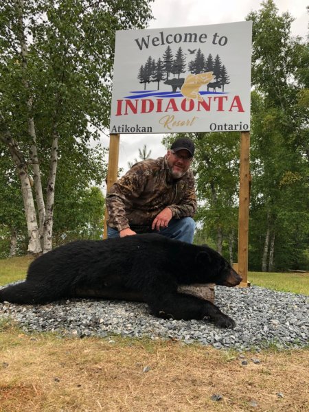 Bear hunting IMG 0791