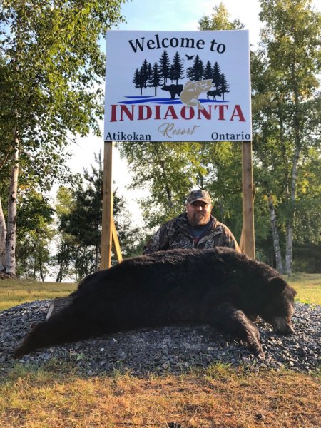 Bear hunting IMG 0858